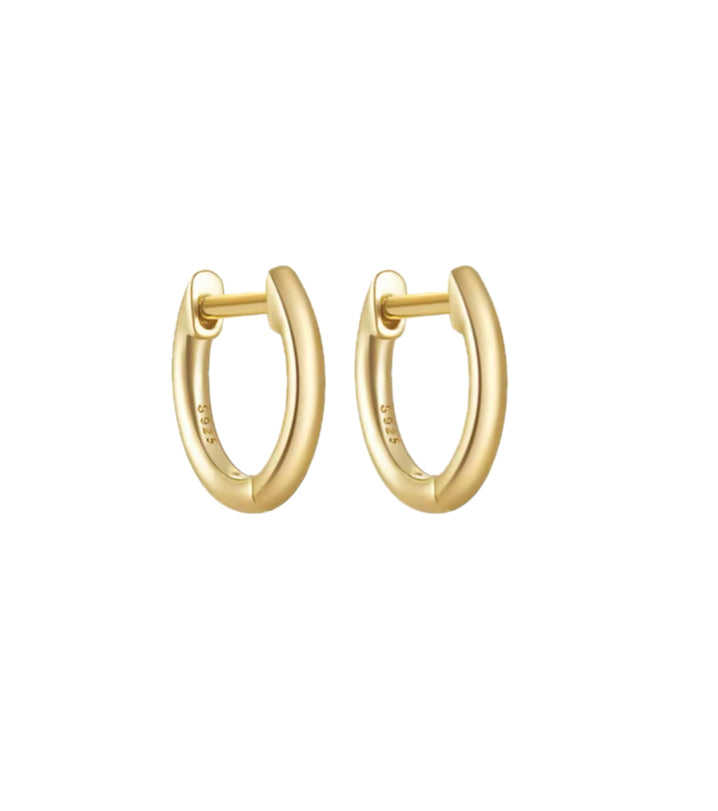 Classic Hoop Earrings Set (2 Pairs)